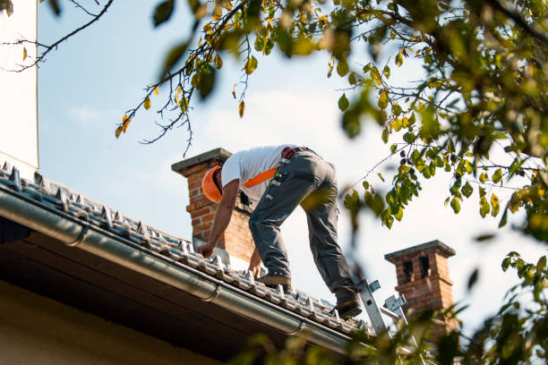 Best Commercial Roofing Services  in Rkesburg, PA